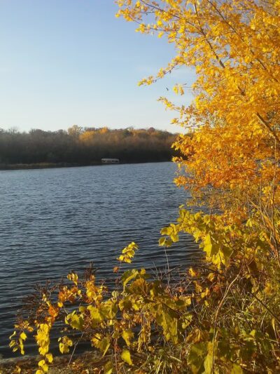 Lions Park - Cold Spring, MN