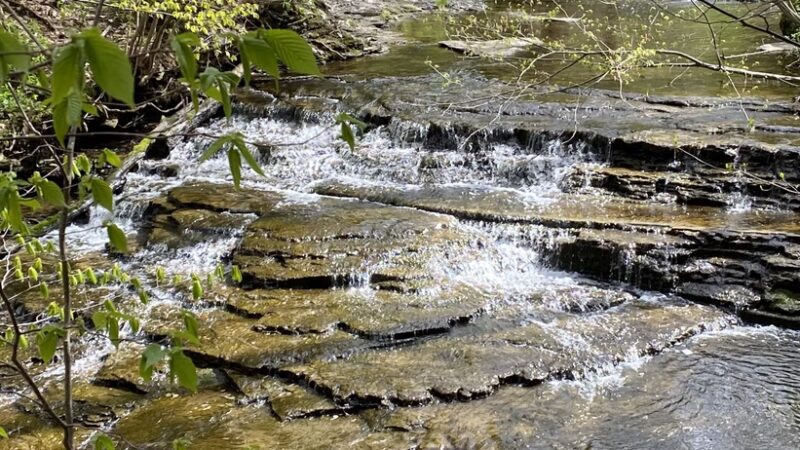 Colden Falls - Colden, NY