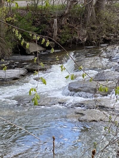 Colden Falls - Colden, NY