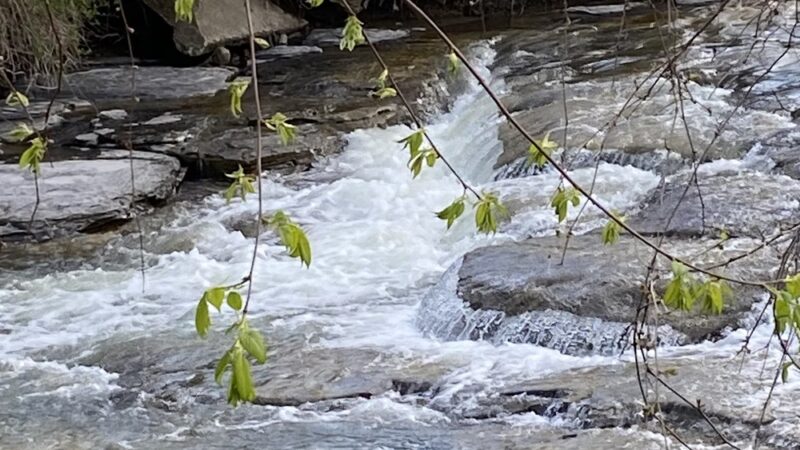 Colden Falls - Colden, NY