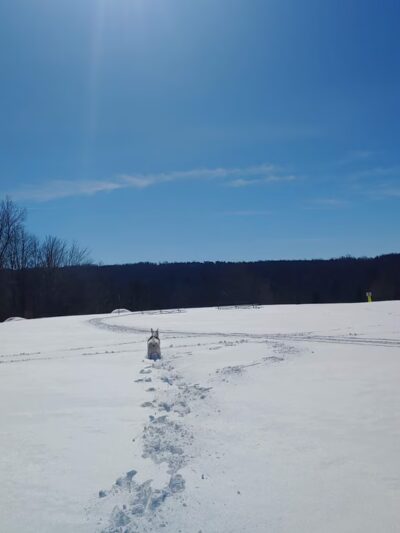Walter Kummer Town Park - Colden, NY