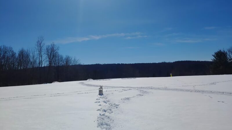 Walter Kummer Town Park - Colden, NY