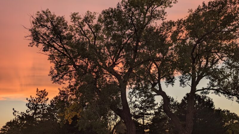 Coldwater City Park - Coldwater, KS