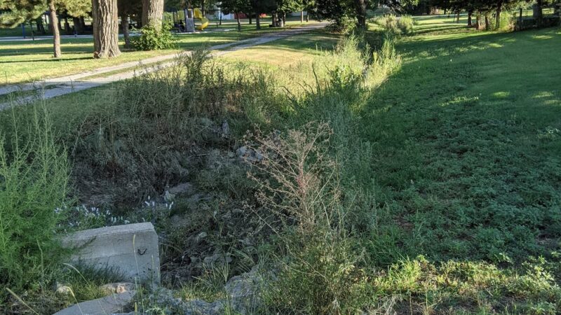 Coldwater City Park - Coldwater, KS