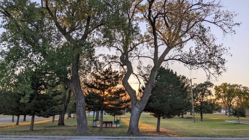 Coldwater City Park - Coldwater, KS