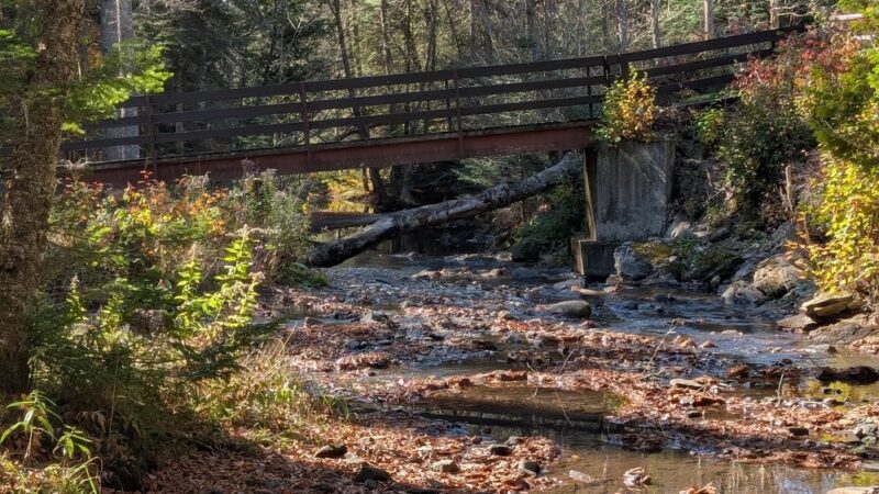 Beaver Brook Falls Wayside - Colebrook, NH