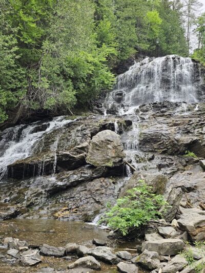 Colebrook Town Woodlot - Colebrook, NH