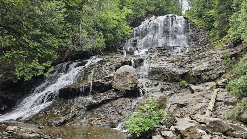 Colebrook Town Woodlot - Colebrook, NH
