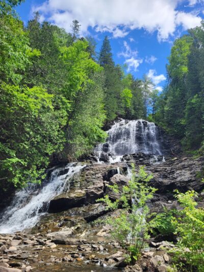 Colebrook Town Woodlot - Colebrook, NH