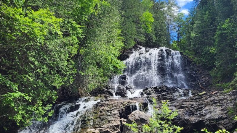 Colebrook Town Woodlot - Colebrook, NH