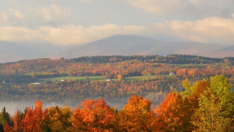 Notch View Inn & Campground - Colebrook, NH