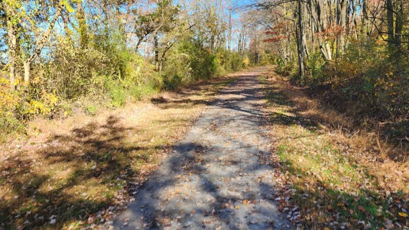 Lebanon Valley Rail-Trail - Colebrook, PA