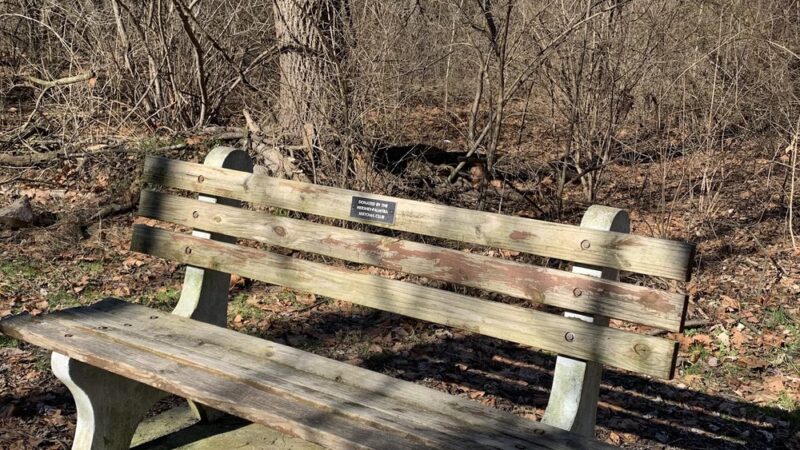 Lebanon Valley Rail-Trail - Colebrook, PA