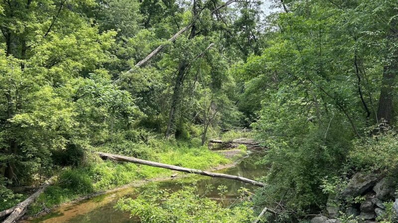 Lebanon Valley Rail-Trail - Colebrook, PA