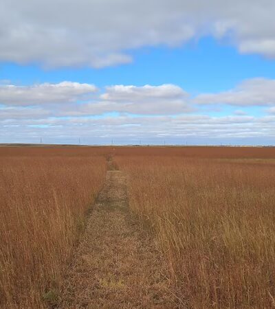 Parking Lot - Coleharbor, ND