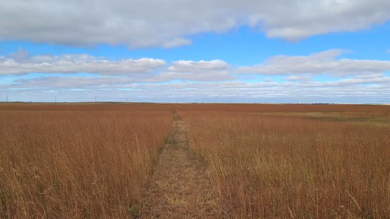 Parking Lot - Coleharbor, ND