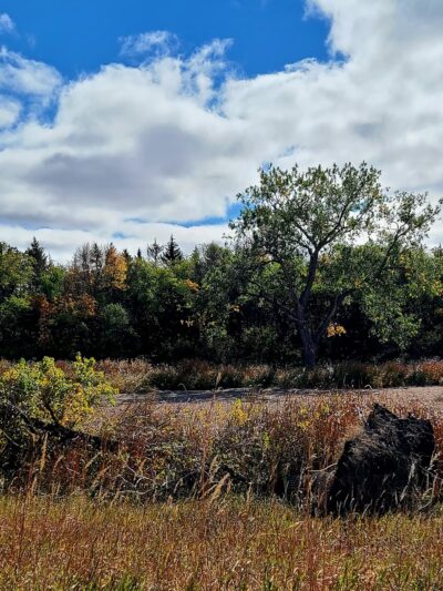 Parking Lot - Coleharbor, ND