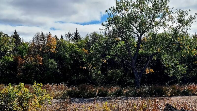 Parking Lot - Coleharbor, ND
