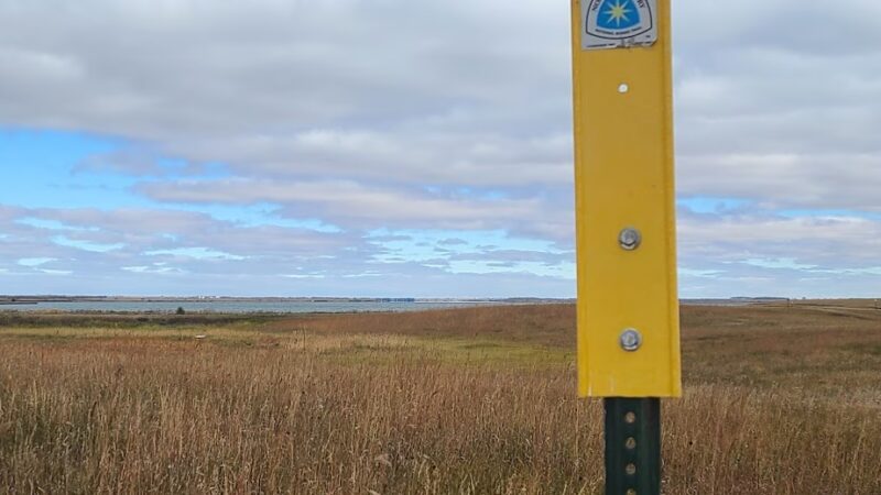Parking Lot - Coleharbor, ND
