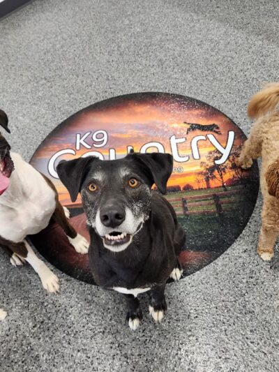 K9 Country - Colesburg, IA