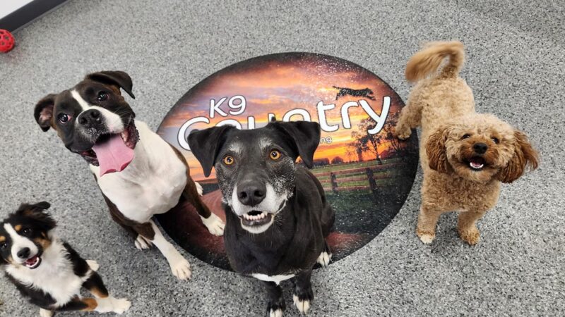 K9 Country - Colesburg, IA