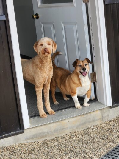 K9 Country - Colesburg, IA