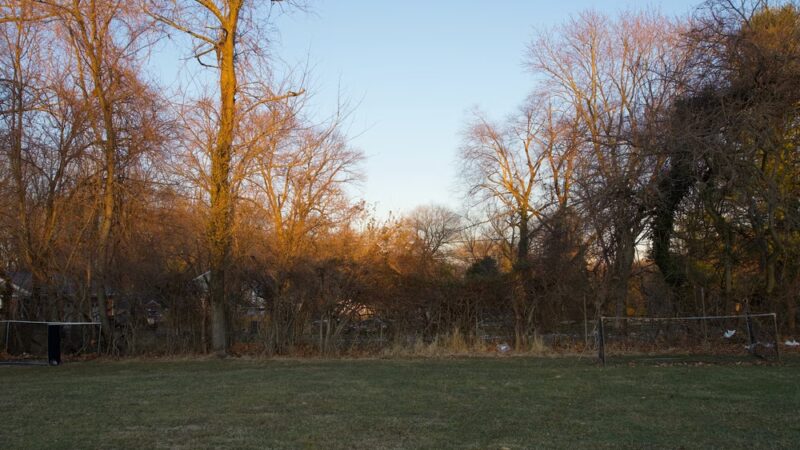 Colesville Local Park - Colesville, MD