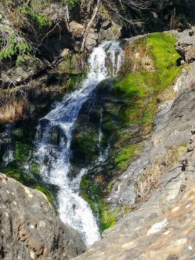 Codfish Creek Falls Discovery Trail (Head) - Colfax, CA