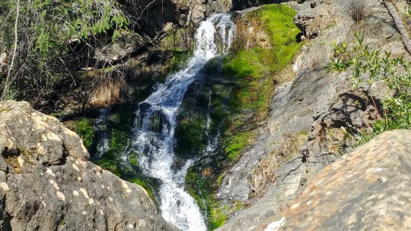 Codfish Creek Falls Discovery Trail (Head) - Colfax, CA