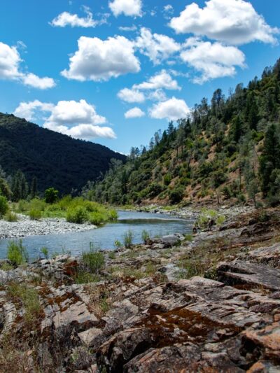Codfish Creek Falls Discovery Trail (Head) - Colfax, CA