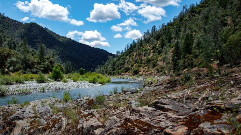 Codfish Creek Falls Discovery Trail (Head) - Colfax, CA