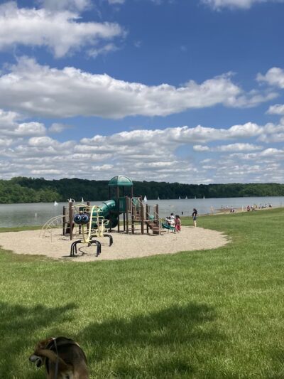 Hueston Woods Dog Beach - College Corner, OH