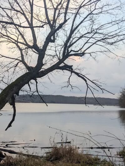 Hueston Woods Dog Beach - College Corner, OH
