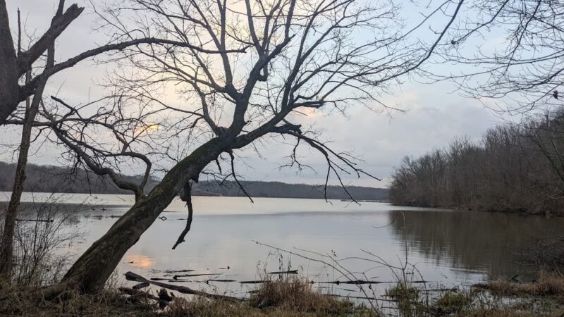 Hueston Woods Dog Beach - College Corner, OH