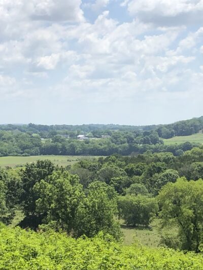 Peacock Hill Nature Park - College Grove, TN