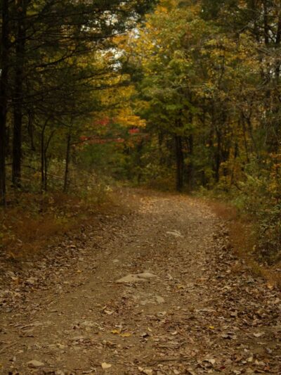 Peacock Hill Nature Park - College Grove, TN