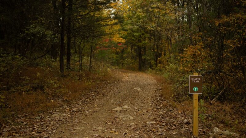 Peacock Hill Nature Park - College Grove, TN