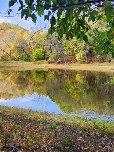 Peacock Hill Nature Park - College Grove, TN