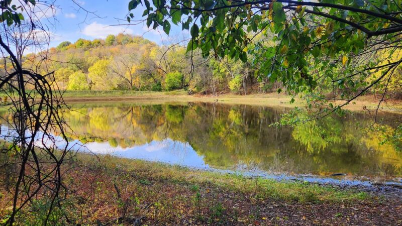 Peacock Hill Nature Park - College Grove, TN