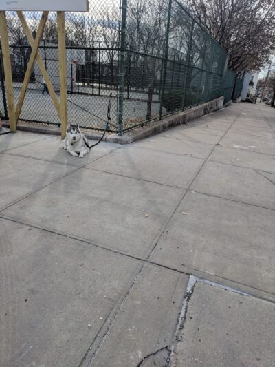 College Point Park - College Point, NY