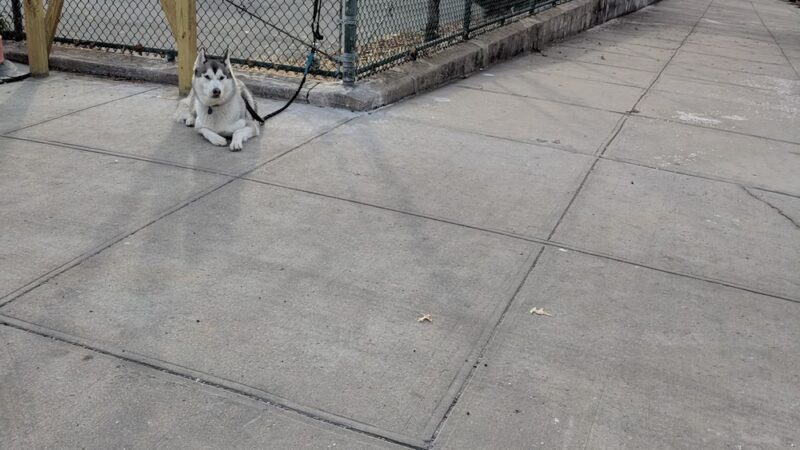 College Point Park - College Point, NY