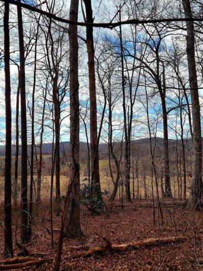 The Sabbath Trail - Collegedale, TN