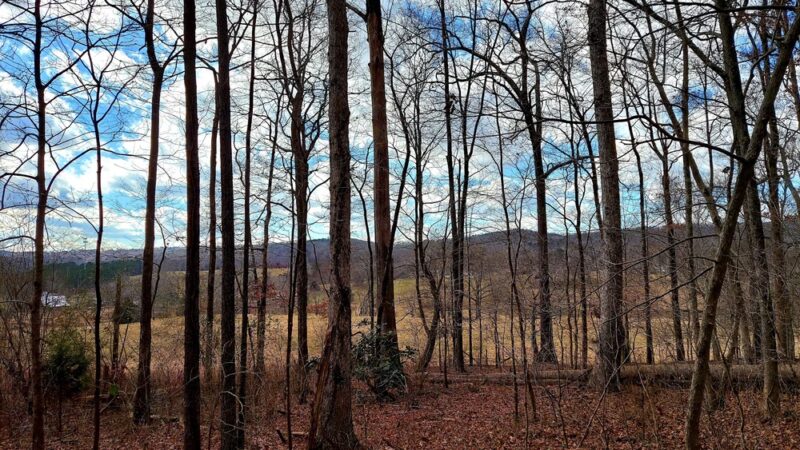 The Sabbath Trail - Collegedale, TN
