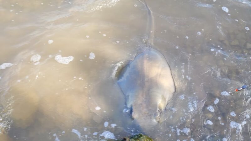 Oyster Lake Park - Collegeport, TX