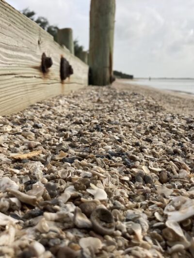 Oyster Lake Park - Collegeport, TX
