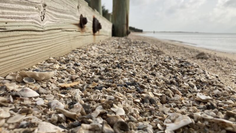 Oyster Lake Park - Collegeport, TX
