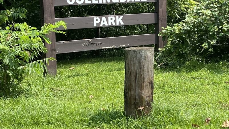 Collingdale Park - Collingdale, PA