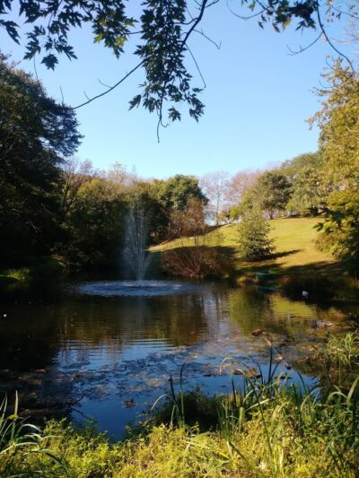 Collingdale Park - Collingdale, PA