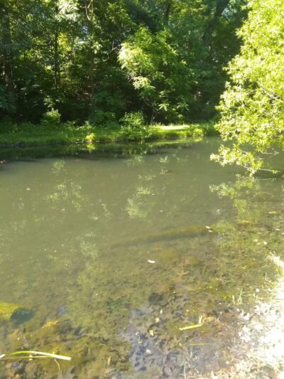 Collingdale Park - Collingdale, PA