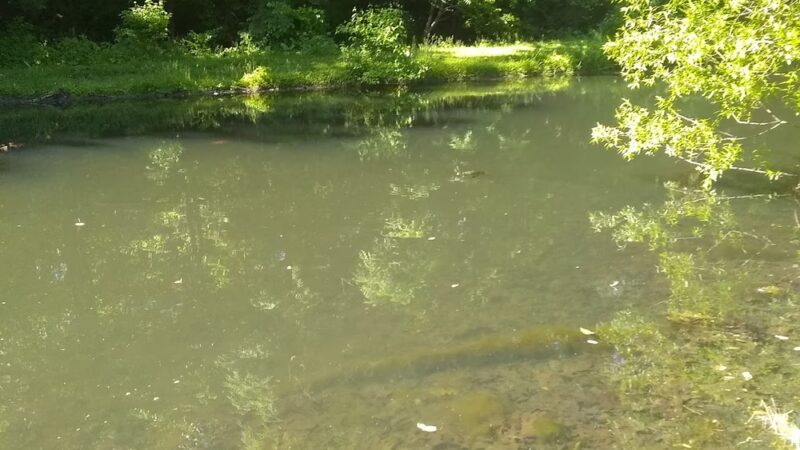 Collingdale Park - Collingdale, PA